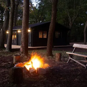 Holiday home The New Forest Cabin